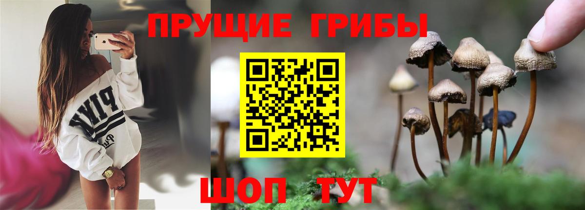 Галлюциногенные грибы Cubensis  Вход с VPN  Псилоцибиновые грибы MAGIC MUSHROOMS  Лесозаводск 